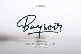 Baysoir: The Premium Font That Transforms Small Business Branding