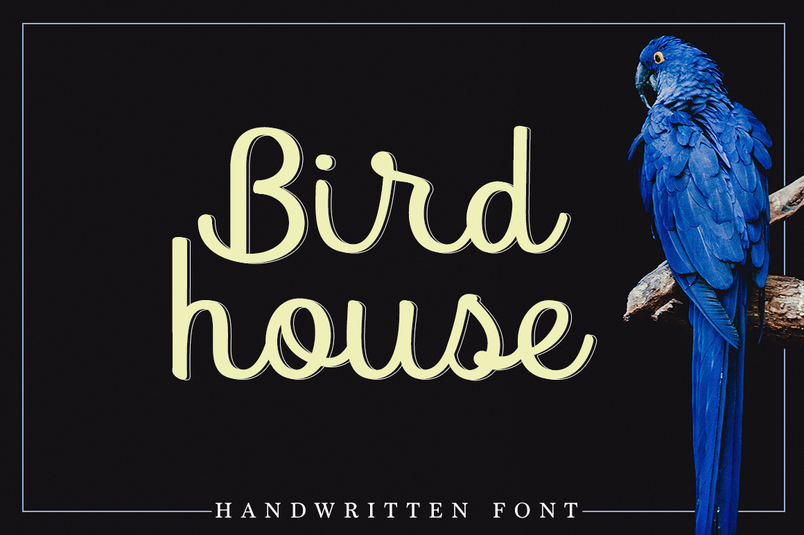 Bird House Typeface: A Script Amp Review for Digital Brands