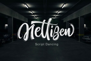 Nettizen: A Modern Brush Typeface for Web Design