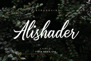Why Alishader Is the Modern Typeface for High-Impact Campaigns
