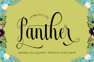 Why Panther Is the Perfect Modern Script Font for Digital Design